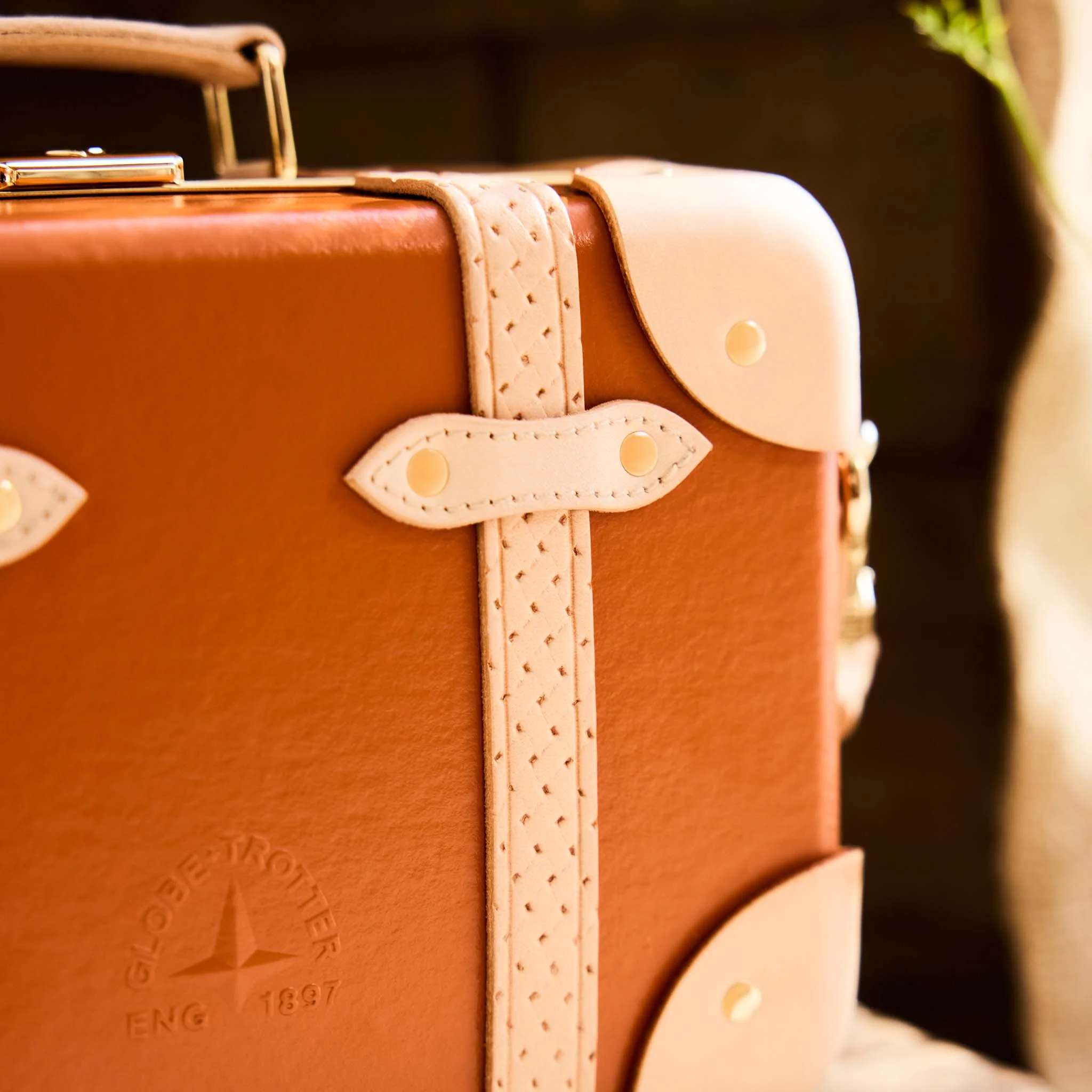 Cotswolds · Micro Case | Orange/Natural/Gold - Image 7