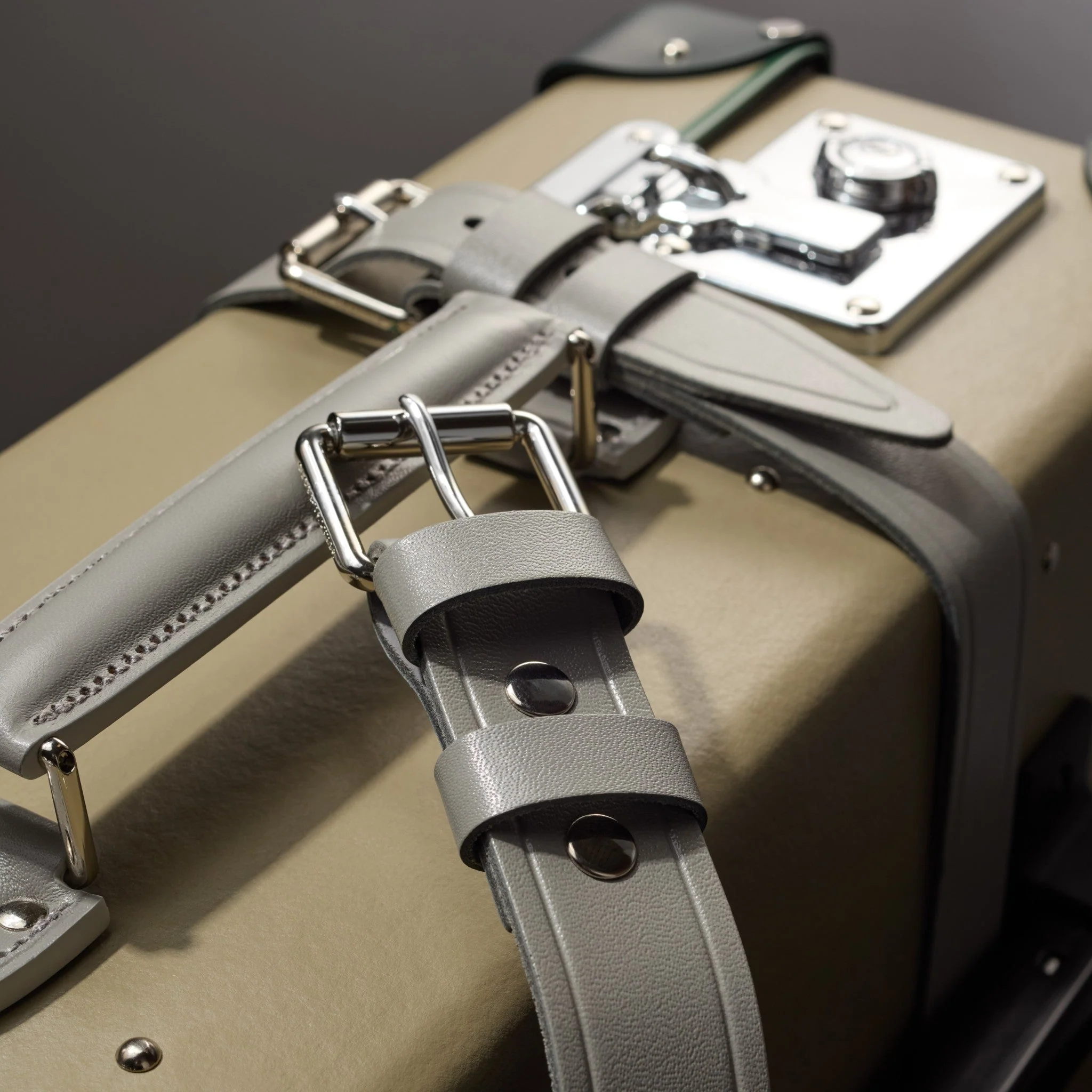 Elephant Family · Large Check-In - 2 Wheels | Olive Grey/Kerry Green/Chrome - Image 4
