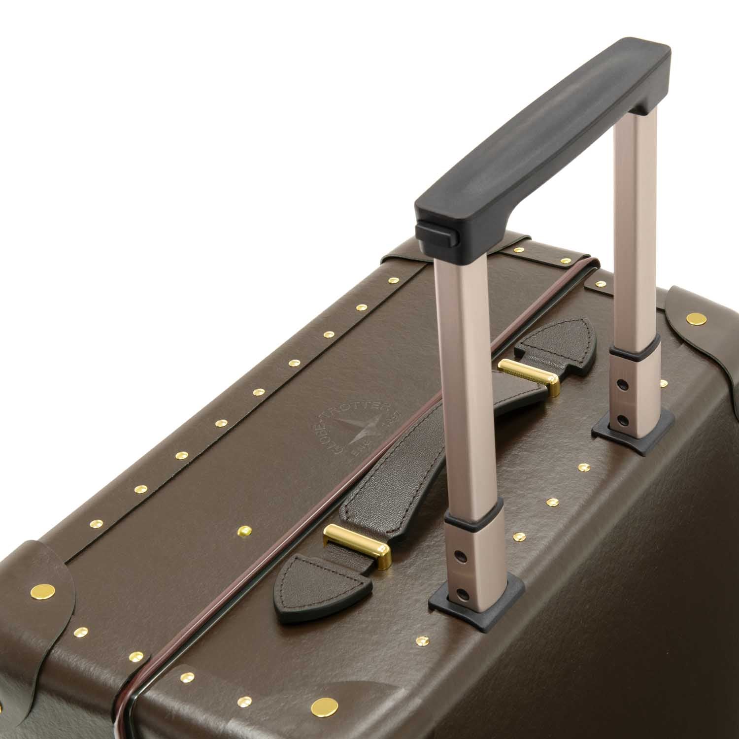 Original · Carry-On - 4 Wheels | Brown/Brown/Gold - Image 6